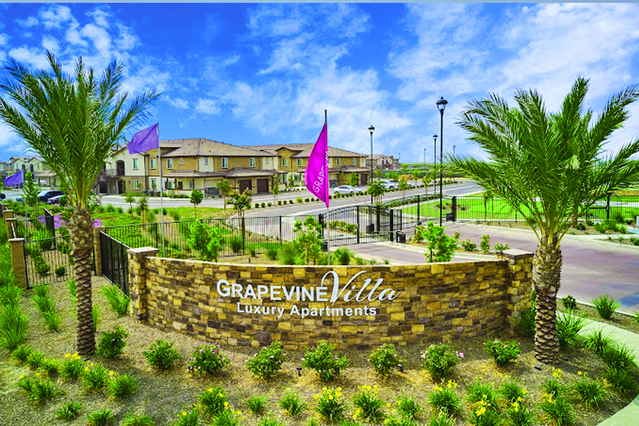 Grapevine Villa